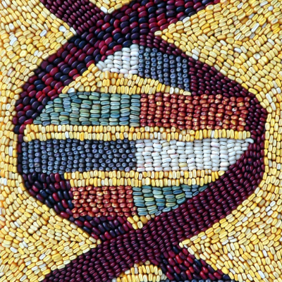 Maize pan-genome