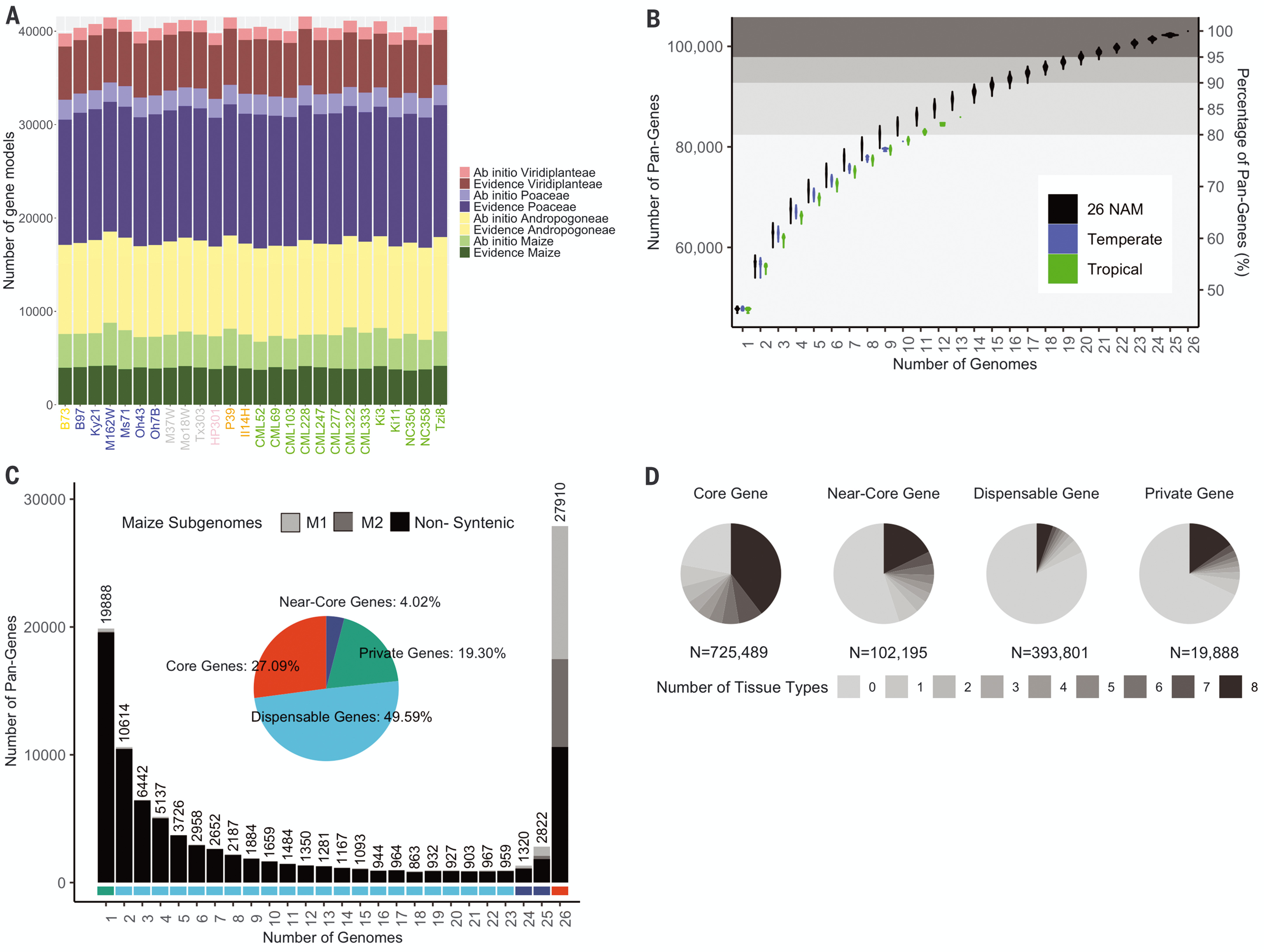 Plots summarizing the maize pan-genome