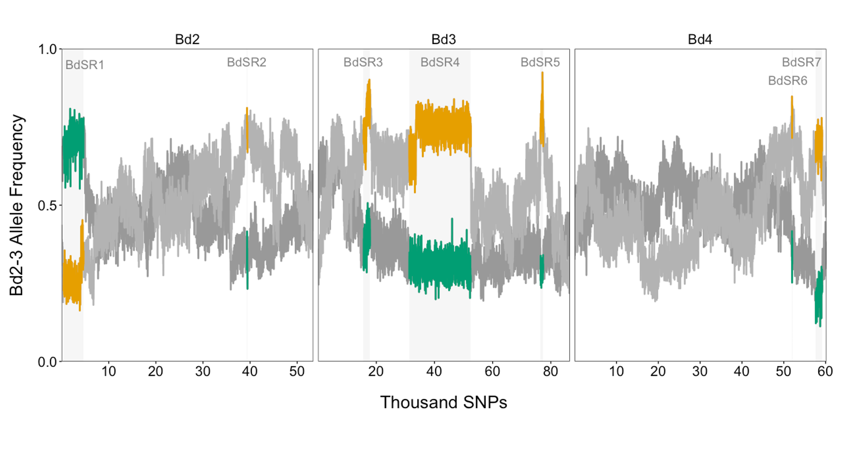 Loci associated with nonhost resistance